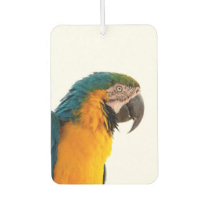 Parrot  car air freshener