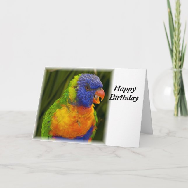 parrot card (Front)