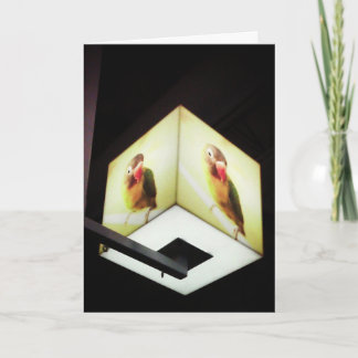 "Parrot Cash Register Light" Thank You Card