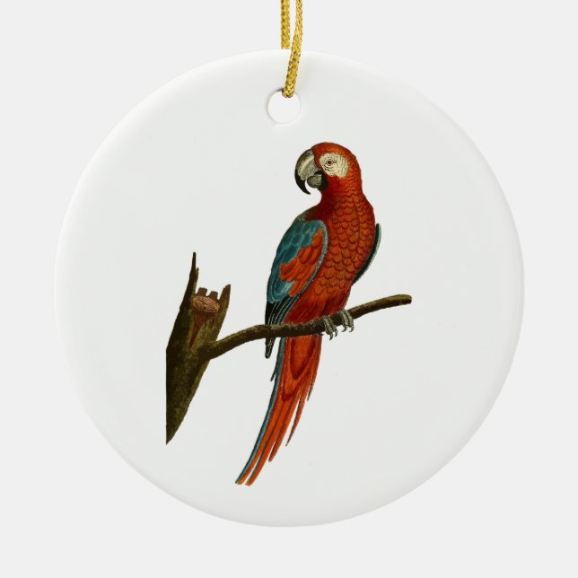Parrot Ceramic Tree Decoration (Front)