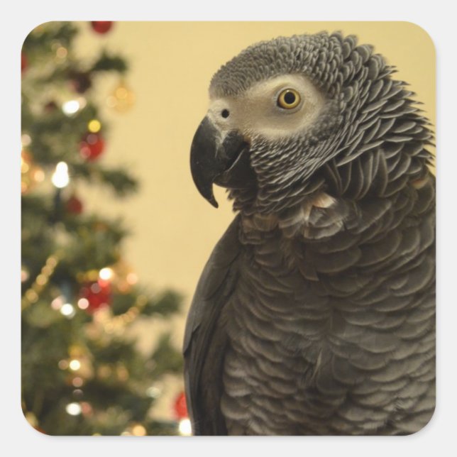 Parrot Christmas Stickers (Front)