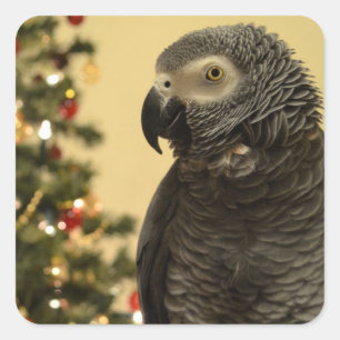 Parrot Christmas Stickers