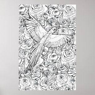 Parrot Clarity Poster