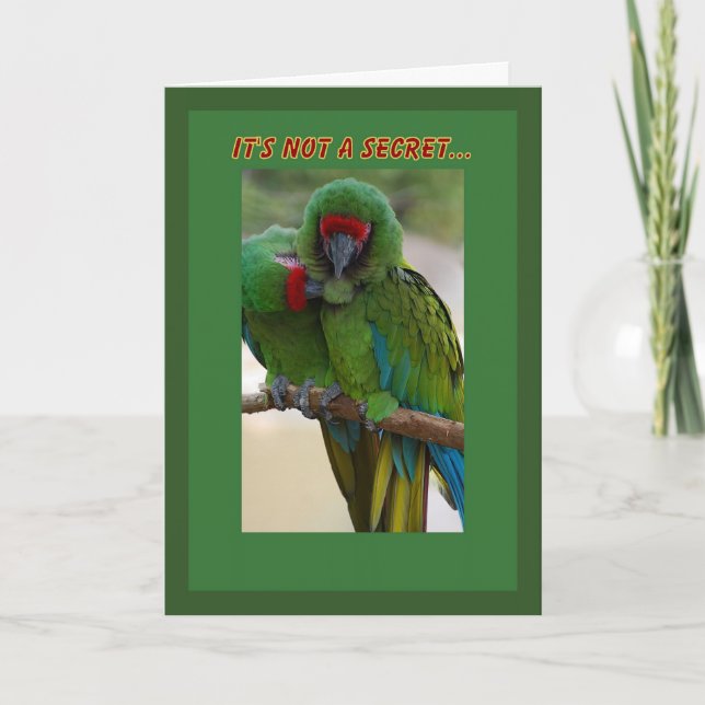 Parrot Couple Birthday Card (Front)