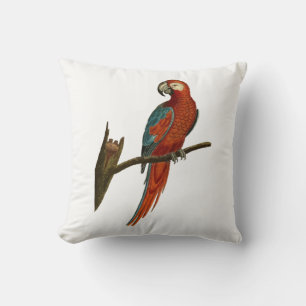 Parrot Cushion