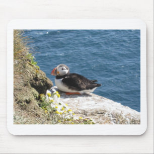 parrot diver mouse pad