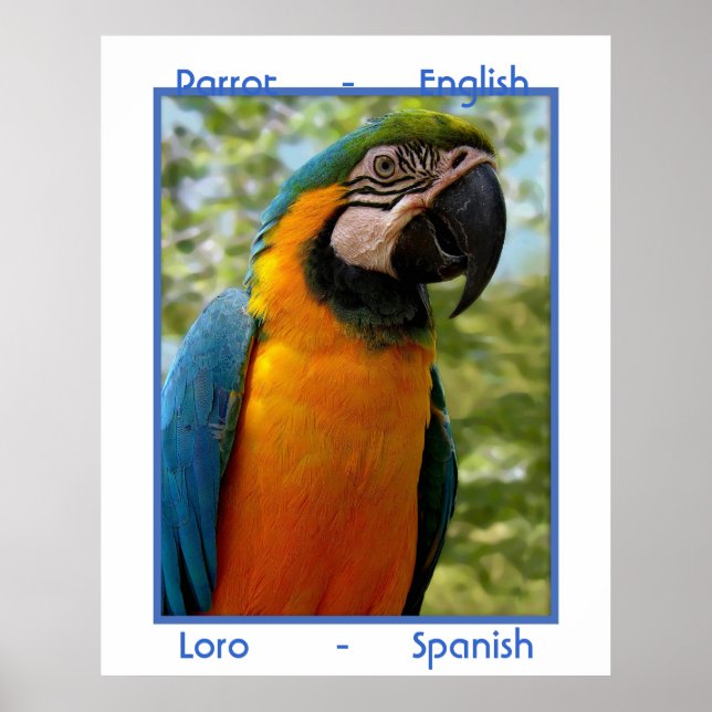 Parrot English, Loro Spanish Poster (Front)