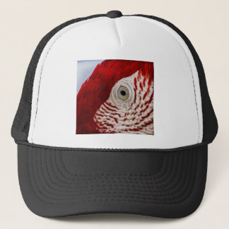 Parrot eye trucker hat