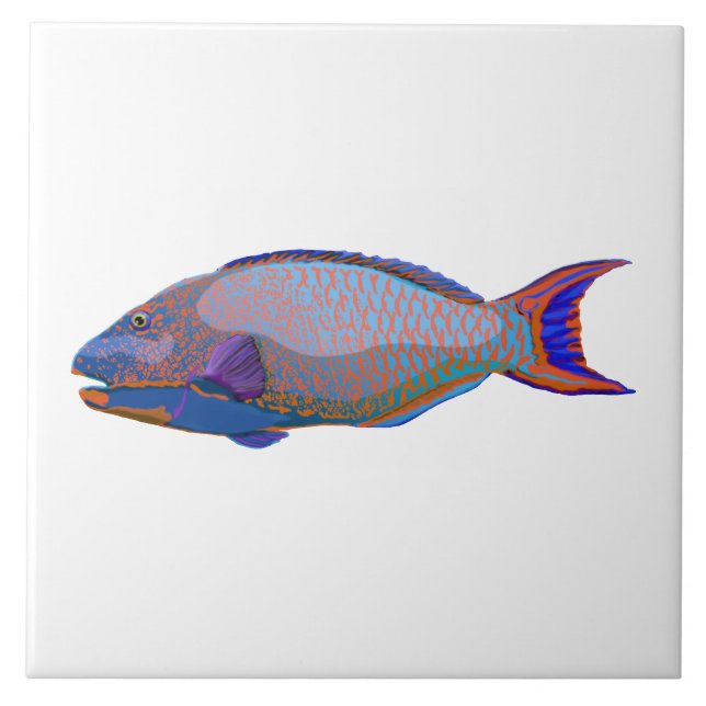 Parrot Fish Ceramic Tile (Front)