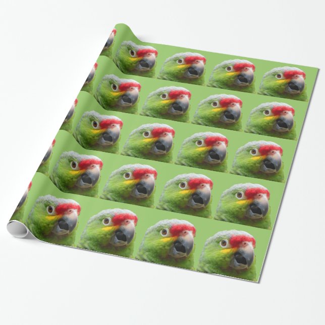 Parrot Gift Wrap (Unrolled)