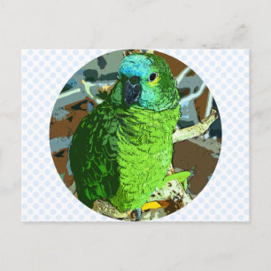 Parrot Green Postcard