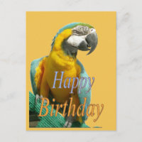 Parrot Happy Birthday Customisable Postcard