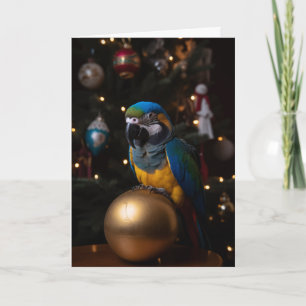 Parrot Holiday Cards 