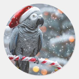 Parrot Holiday Stickers — Winter Wonder