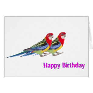 Parrot image for Birthday greeting card