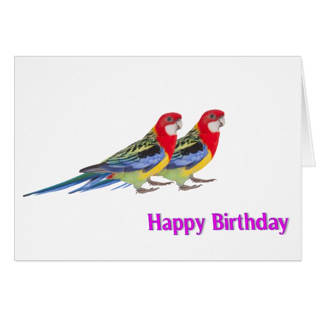 Parrot image for Birthday greeting card (Front Horizontal)