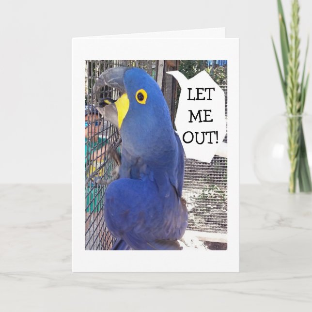 PARROT IN CAGE SAYS LET ME OUT-BIRTHDAY CARD (Front)