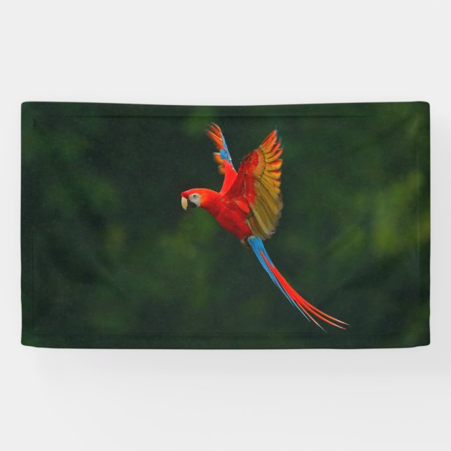 Parrot in Flight Banner (Horizontal)