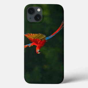 Parrot in Flight iPhone 13 Case