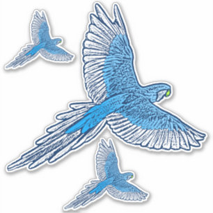 Parrot in Flight, Cobalt Blue and White