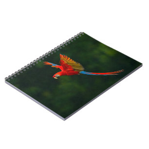Parrot in Flight Notebook
