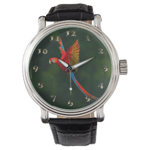 Parrot in Flight Watch