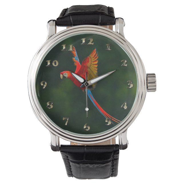 Parrot in Flight Watch (Front)