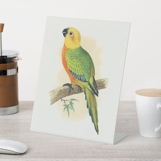Parrot, Jendaya Conure, Pedestal Sign (In SItu)