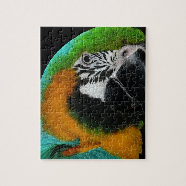 Parrot Jigsaw Puzzle (Vertical)