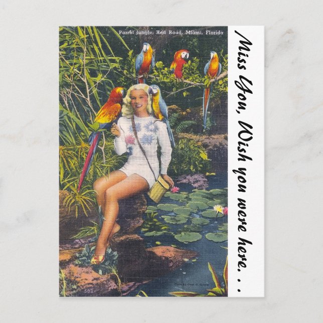 Parrot Jungle,  Miami,  Florida Postcard (Front)
