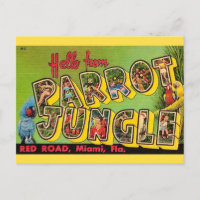 Parrot Jungle Miami Vintage Postcard