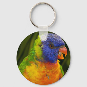parrot key ring
