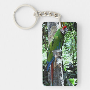 Parrot Key Ring