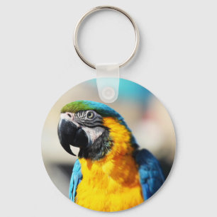 parrot key ring