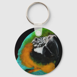 Parrot Key Ring