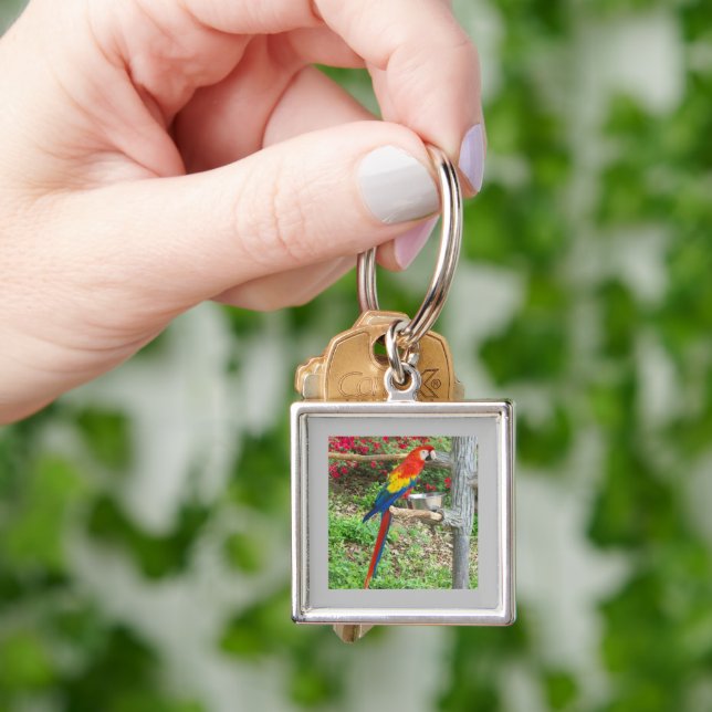 Parrot Keychain (Hand)
