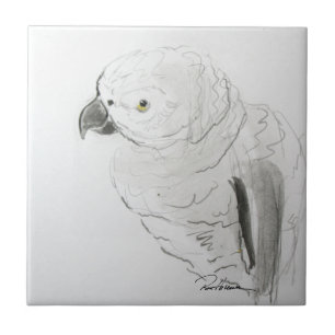 Parrot Listening Closely . . . Ceramic Tile