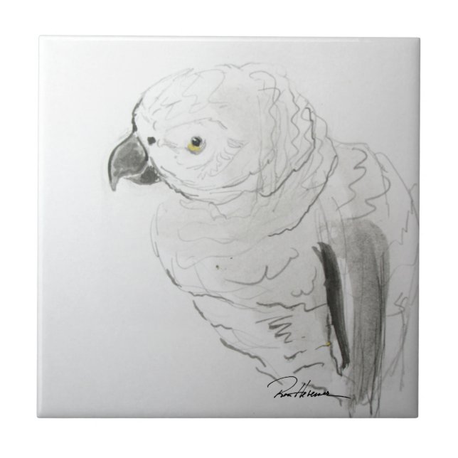 Parrot Listening Closely . . . Ceramic Tile (Front)