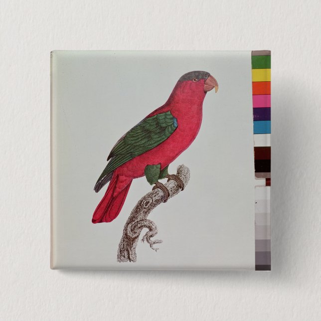 Parrot: Lory or Collared 15 Cm Square Badge (Front)
