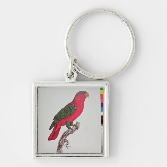 Parrot: Lory or Collared Key Ring (Front)