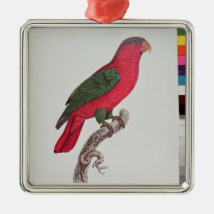 Parrot: Lory or Collared Metal Ornament
