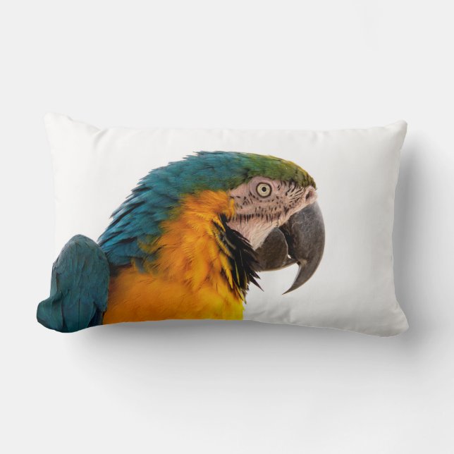 Parrot  lumbar cushion (Front)
