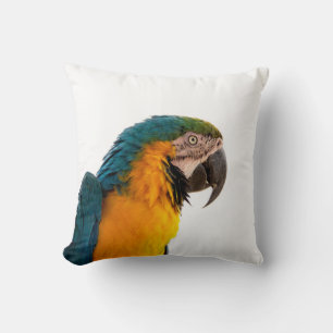 Parrot macaw cushion