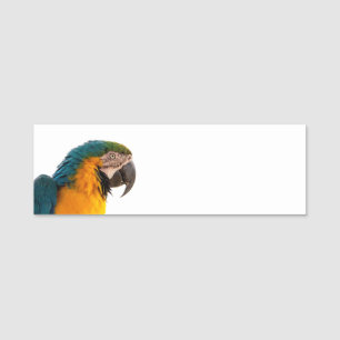 Parrot macaw  name tag