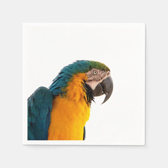 Parrot macaw  napkin (Front)