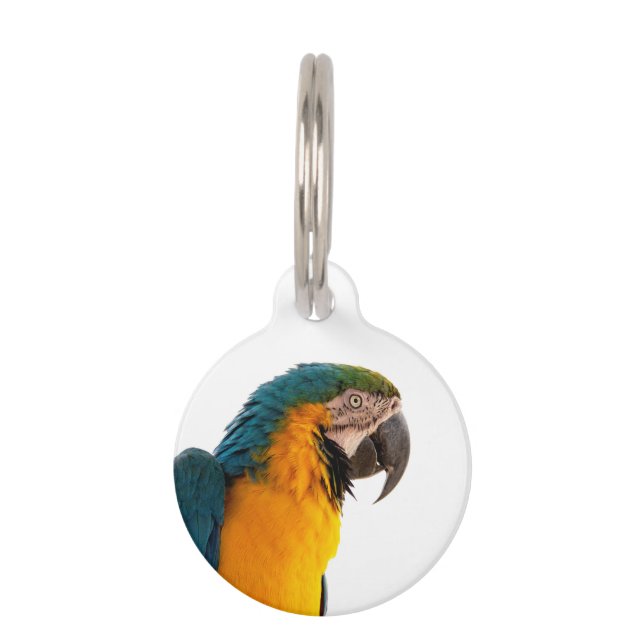Parrot macaw  pet tag (Front)