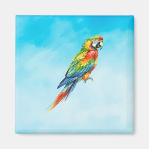 Parrot Magnet