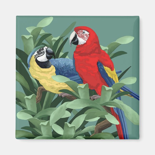 Parrot Magnets (Front)