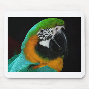 Parrot Mouse Pad