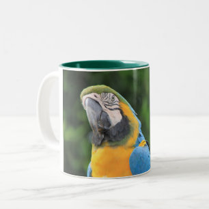 Parrot Mug